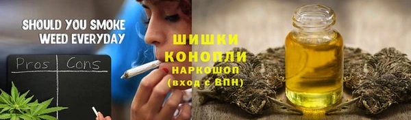 экстази Гусев