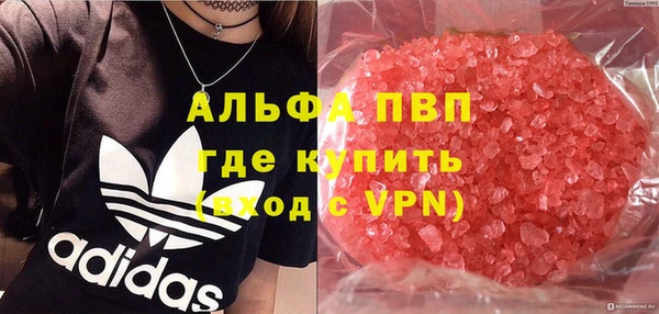 экстази Гусев