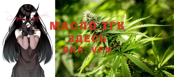 тгк Гусь-Хрустальный
