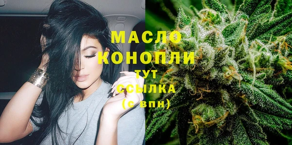 тгк Гусь-Хрустальный