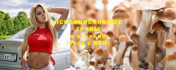 экстази Гусев