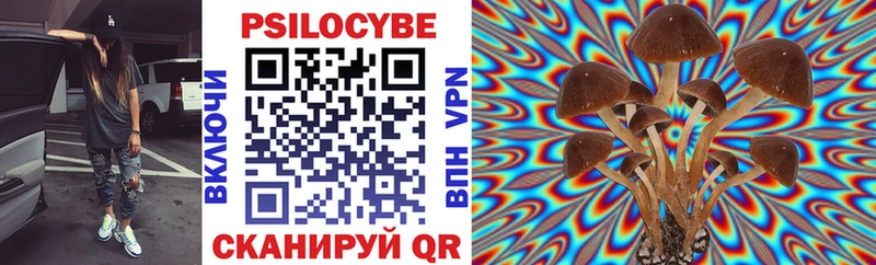Галлюциногенные грибы мицелий  Купить где  Рудня 
